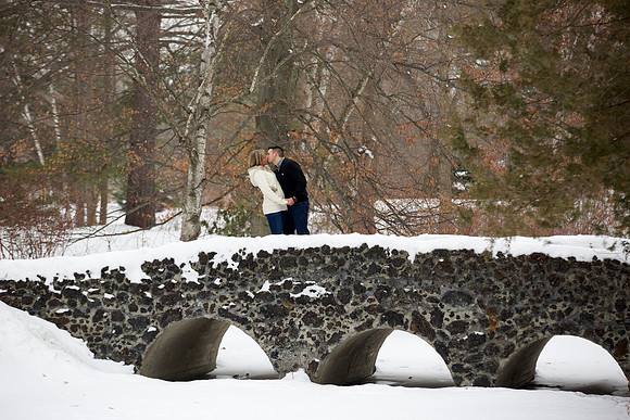 Winter engagement portraits at Dow Gardens