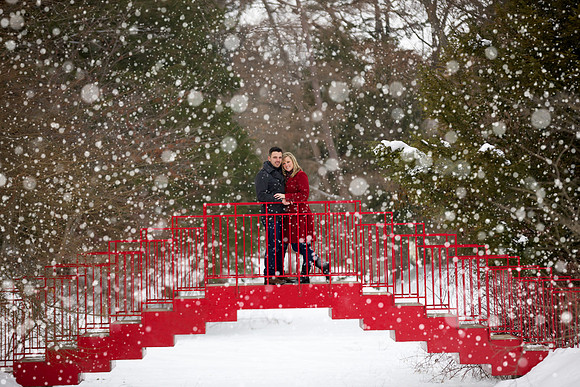 Winter engagement portraits at Dow Gardens